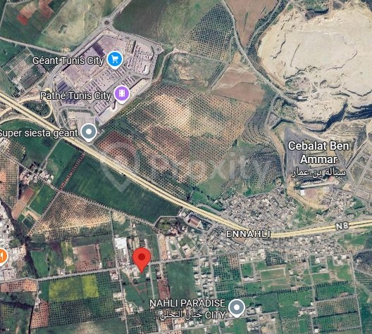 Terrain de 996 m² à vendre à Ennahli – Proche de Géant Tunis City