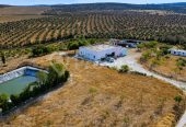 Ferme agricole 17 hectares à vendre près de Tunis – Terrains et Fermes – photo 5