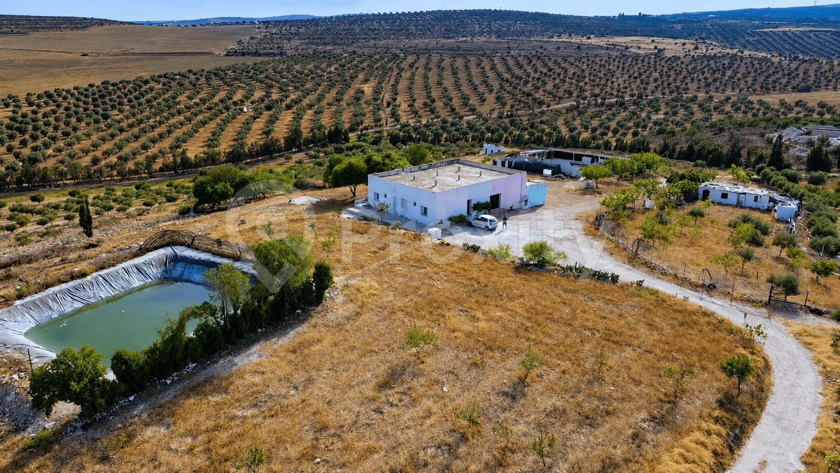 terrain-agricole-17-hectares-proche-tunis