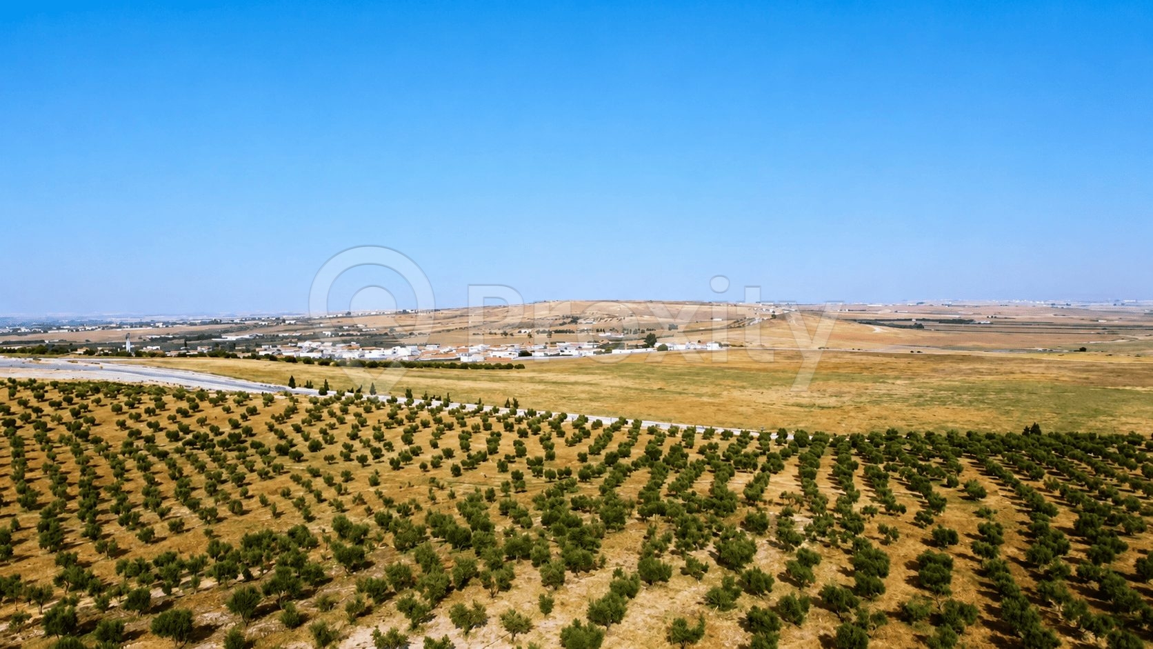 terrain-agricole-a-vendre-tunis-prix-hectare