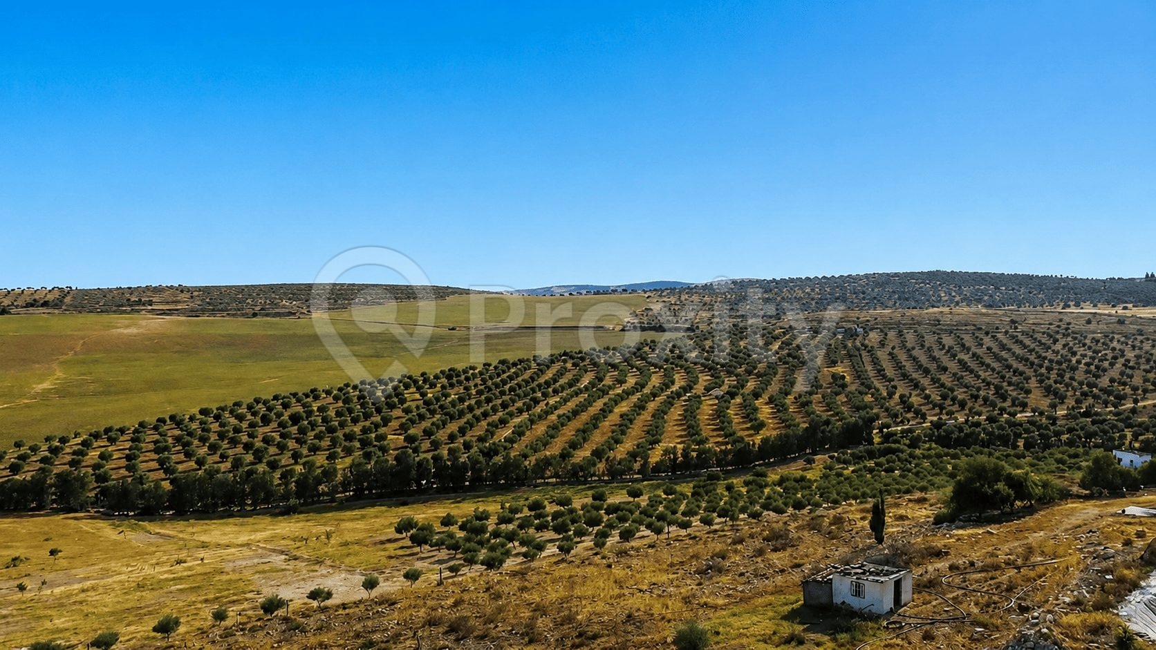 terrain-agricole-grande-superficie-tunisie