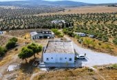 Ferme agricole 17 hectares à vendre près de Tunis – Terrains et Fermes – Tunis – photo 2