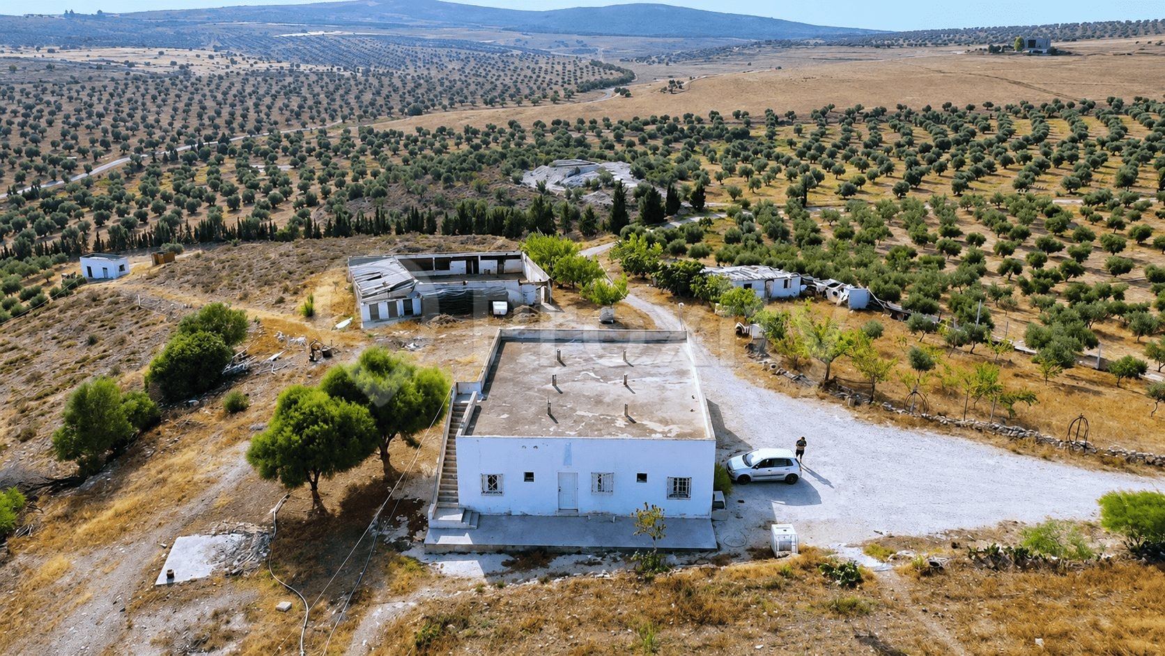 terrain-agricole-proche-capitale-tunisienne