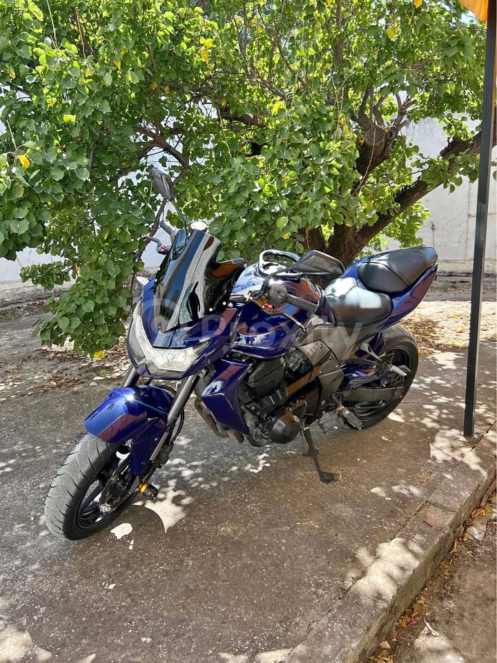 Kawasaki Z750 roadster sportif à Béja