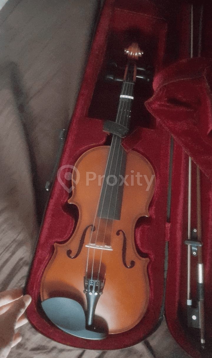 Violon d'occasion en bon état à vendre à Nabeul – 170 DT