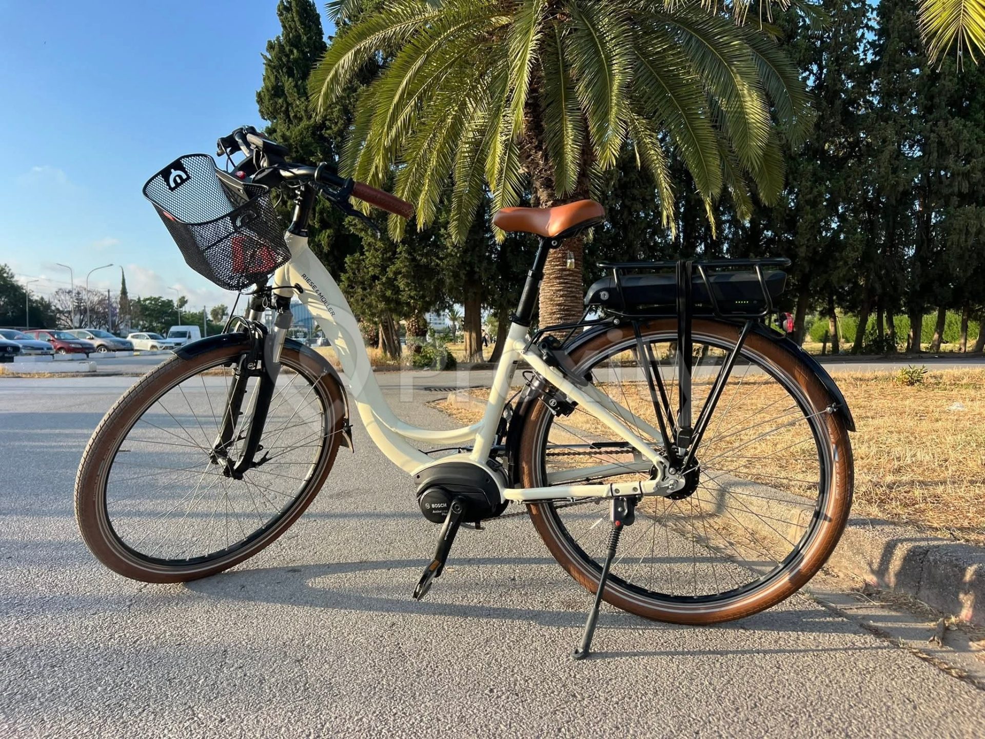 vélo électrique riese & müller swing