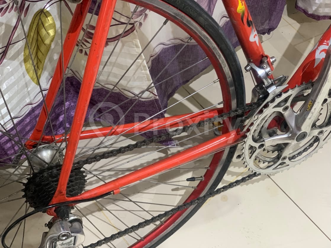 Vélo de route vintage Torelli La Bicicletta Che Vince à Sousse – 650 DT négociable